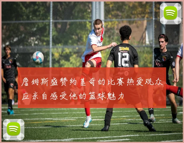 詹姆斯盛赞约基奇的比赛热爱观众应亲自感受他的篮球魅力